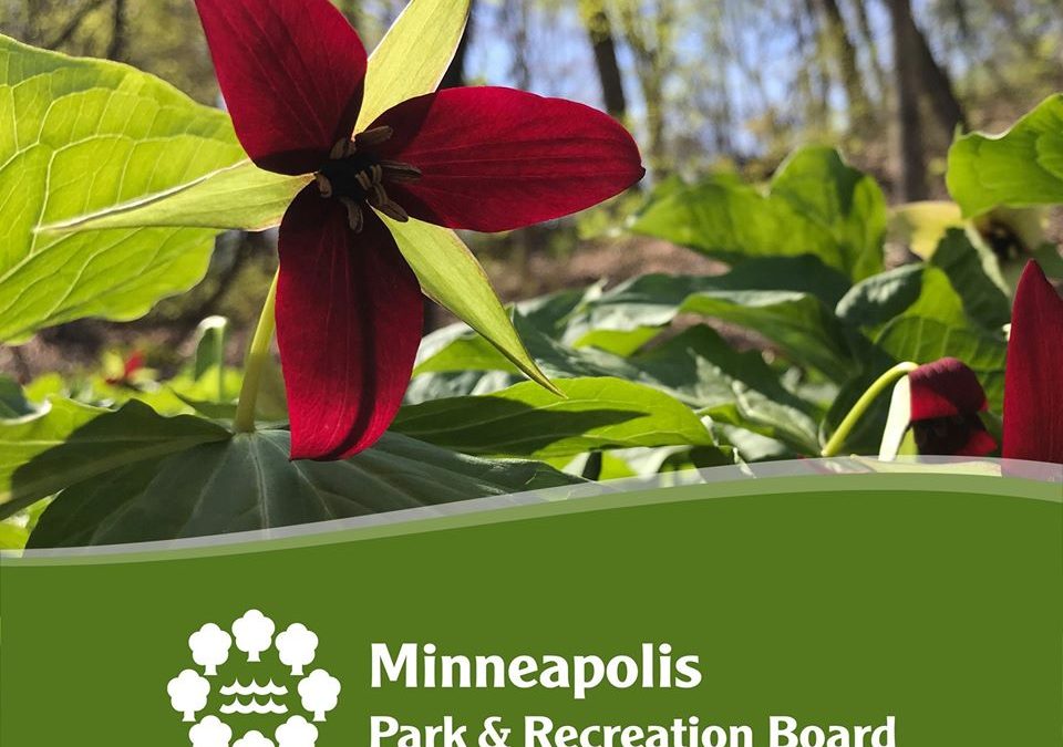 Eloise Butler Wildflower Garden – Minneapolis,MN