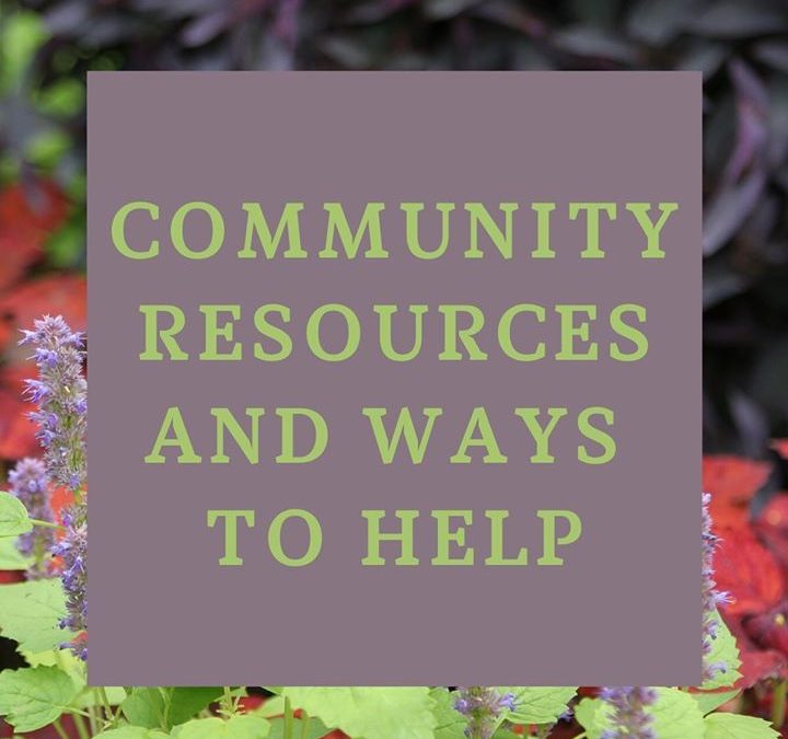 Healing Community: Community Resources & Gardens – Minneapolis