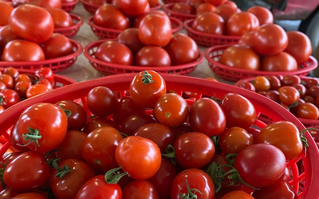 The MPLS Farmers Market: Fall’s Best … And Yes, Huevos Ranchero Nachos Too!