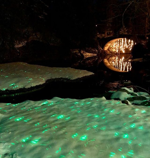 Glensheen Mansion: Spirit of the Lights