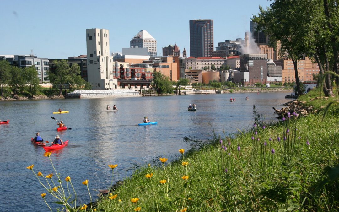 Mississippi River Visitor Center: Family Tree Walks – St. Paul, MN