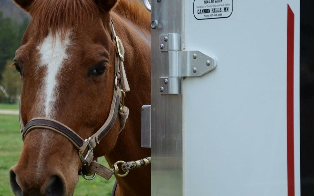 Minnesota State Horse Trails: Find Your Path…Over 1,000 Miles to Roam!
