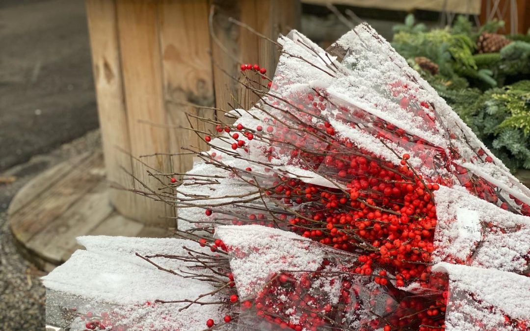 Sunnyside Gardens: Holiday Decorating from Trees to Trimmings – Minneapolis, MN