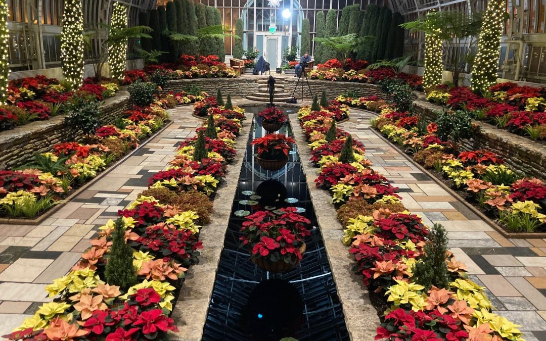 Como Park Zoo & Conservatory: The Holiday Flower Show Opens – St. Paul, MN