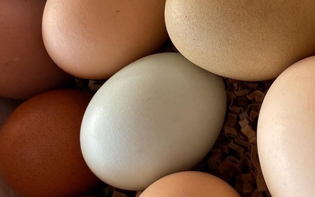 The Saint Paul Farmers’ Market: Our Markets are Open-Year-Round now coming into Spring!