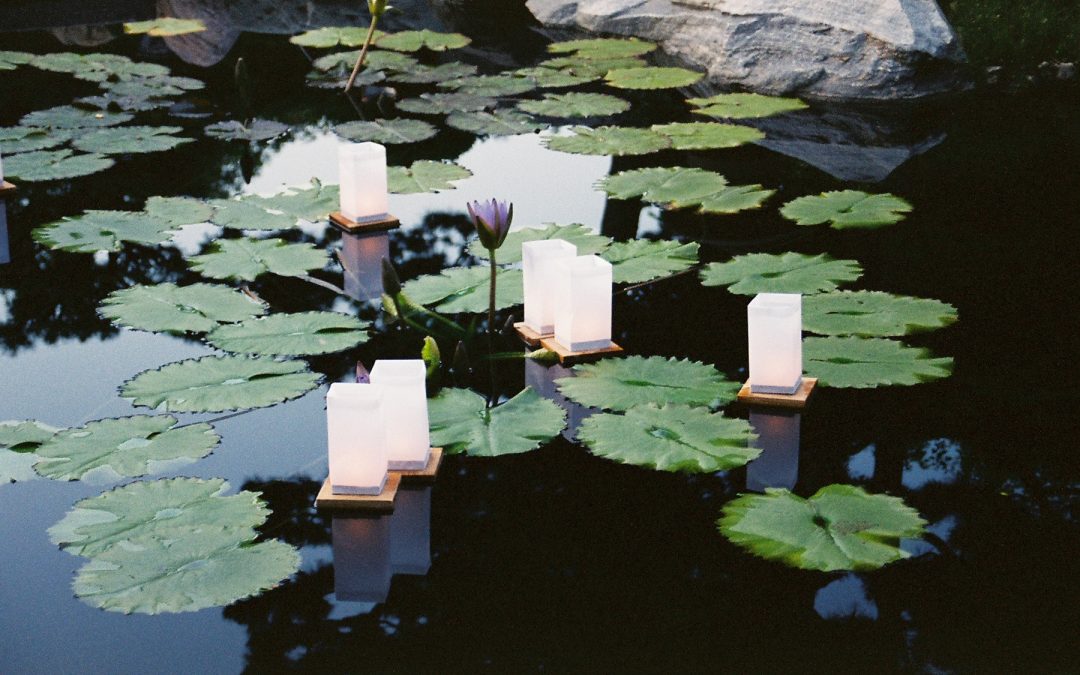 Advance Tickets: Como Park and Conservatory for this year’s Japanese Obon Festival – St. Paul, MN