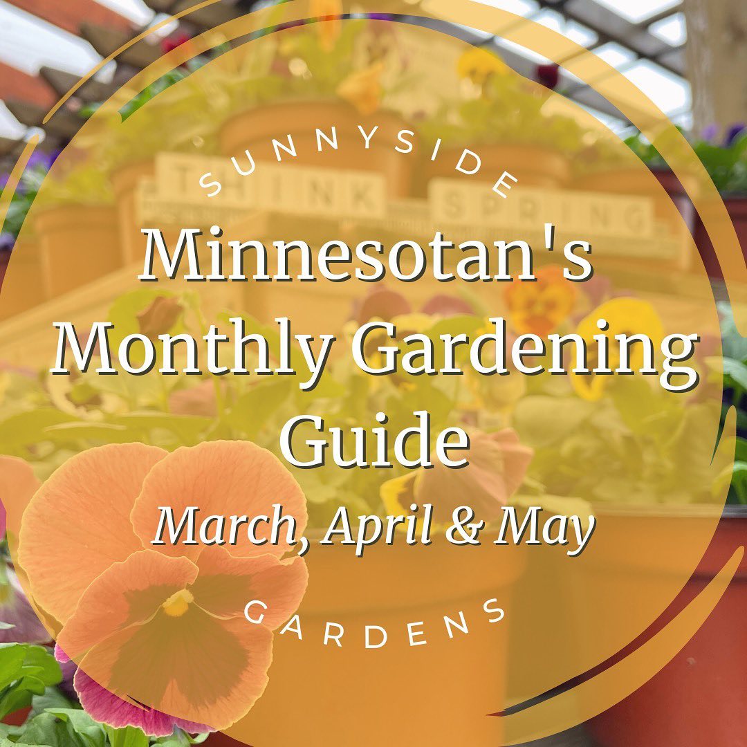 333056043_1336506617205613_3123165005134712946_n