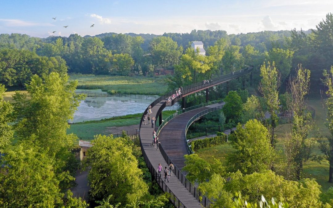 Minnesota Zoo Opens ‘The Tree Top Trail’ – Apple Valley, MN