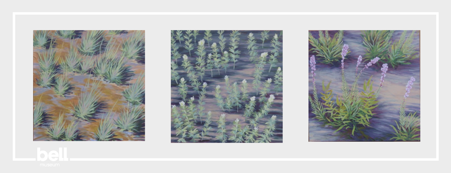 PortraitsOfThePlots_hero