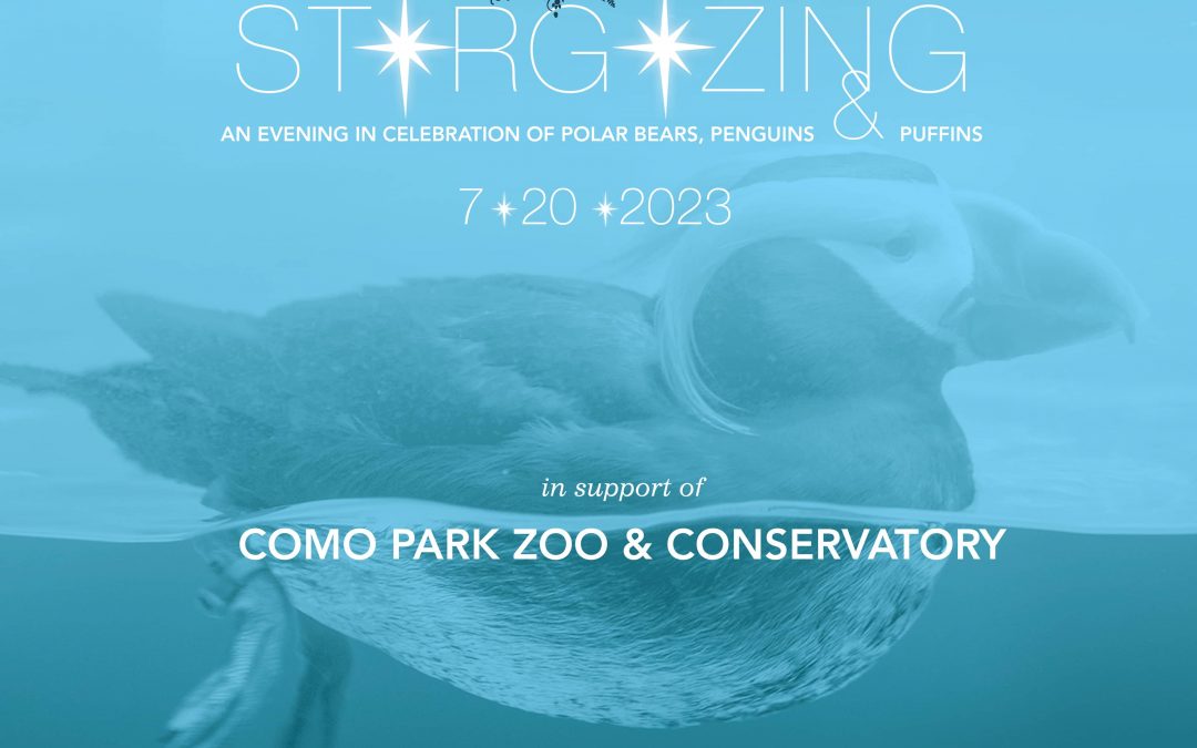 Sunset Affair: Stargazing – St. Paul, MN