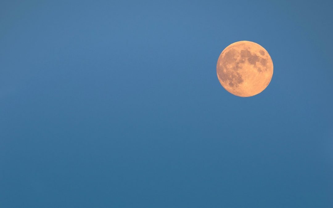 Minnesota Landscape Arboretum: Full Moon Hikes – Chaska, MN 