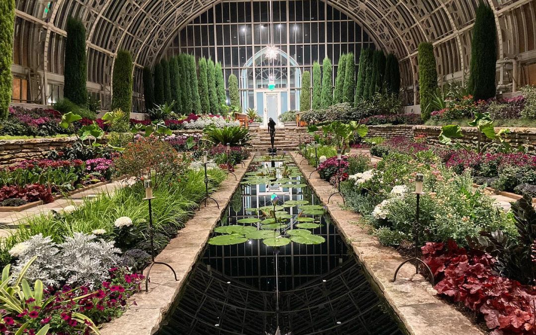 Como Conservatory: Fall Flower Show’s Sunken Gardens Opens
