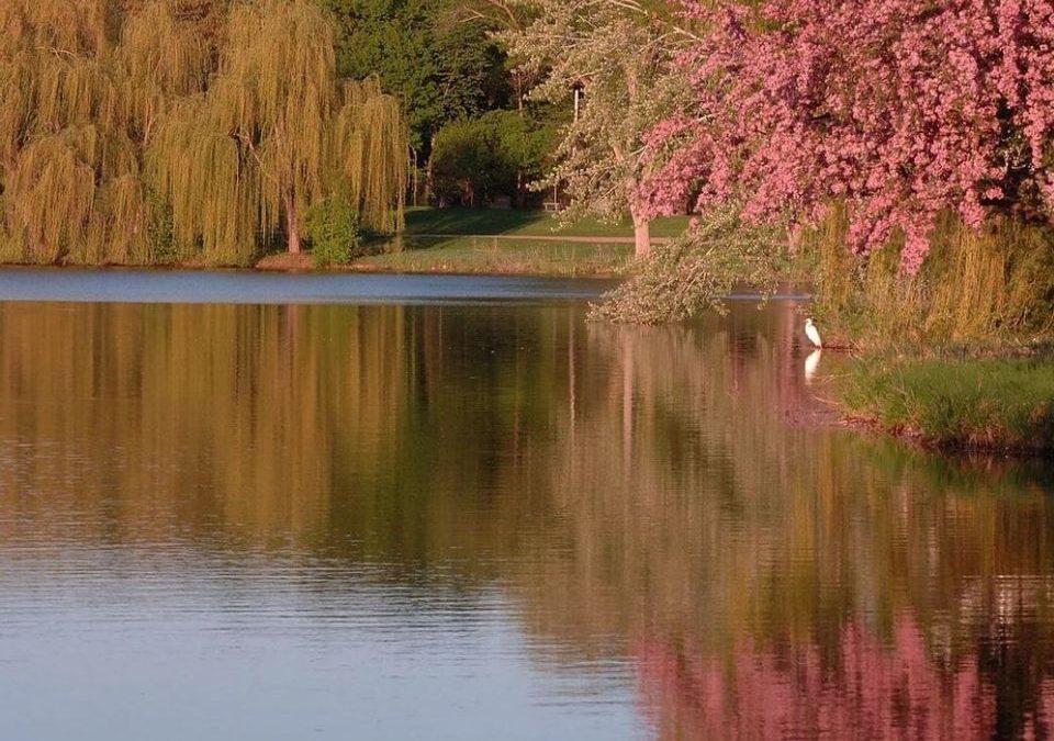 Lakewood Cemetery Celebrates Earth Month – Minnneapolis, MN