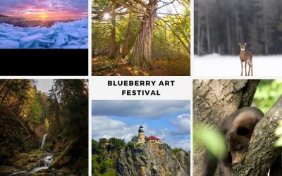 Blueberry Art Festival – Ely, Minnesota