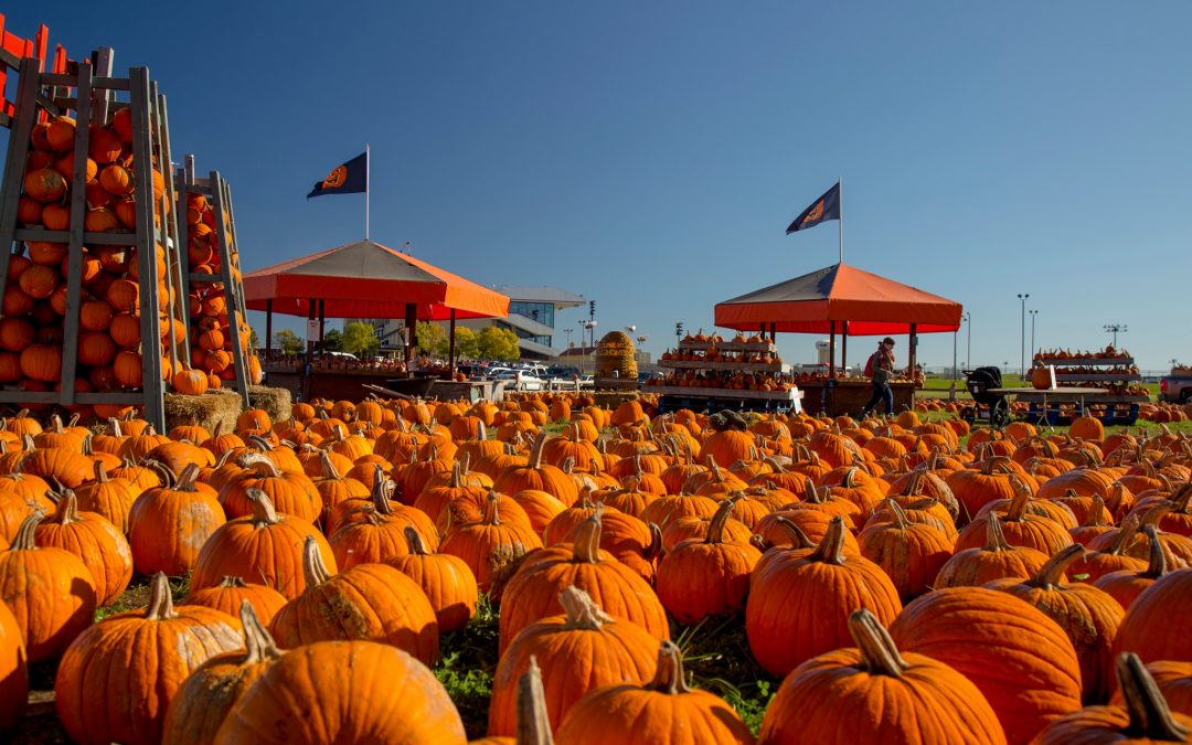 Sever’s Fall Festival 2024 Opens – Shakopee, MN