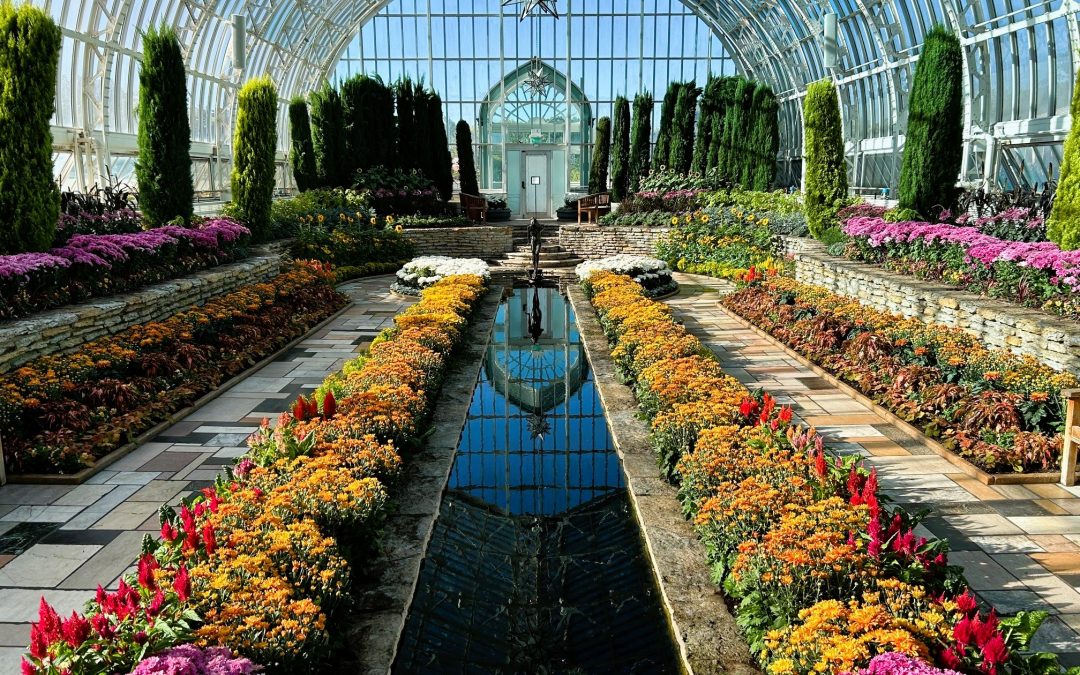 The Fall Flower Show is now open in the Sunken Garden! – St. Paul, MN