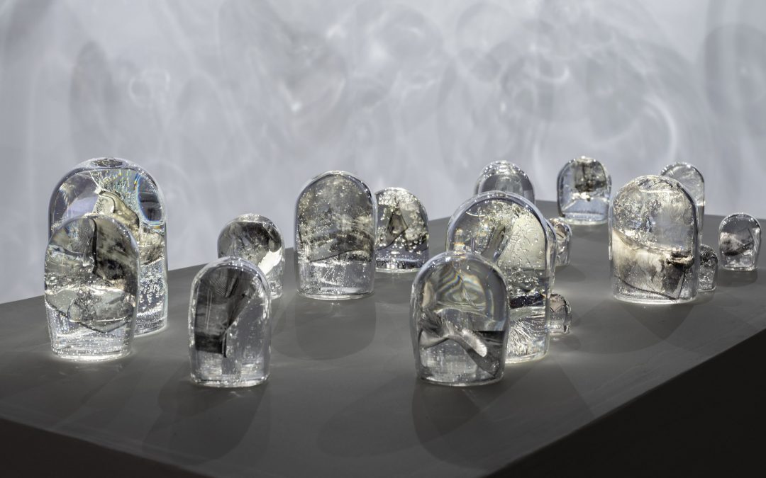 Echoes: A Solo Exhibition by Lynn Bierbaum – Minneapolis, MN