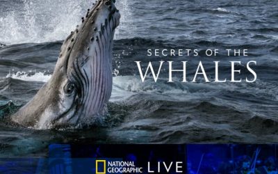 Secrets of the Whales with the Minnesota Orchestra – Minneapolis, MN