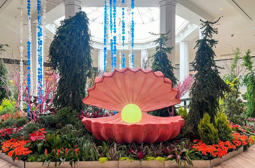 DNMI: Escape to Paradise at the Galleria Floral Experience – Edina, MN