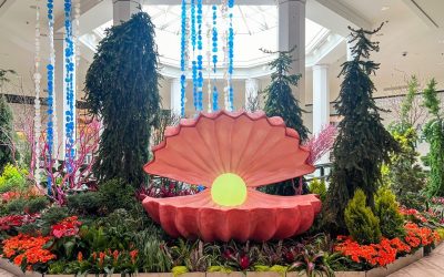 DNMI: Escape to Paradise at the Galleria Floral Experience – Edina, MN