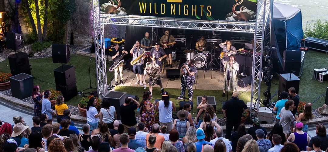 MN Zoo’s Wild Nights concert series returns with Cloud Cult, Cactus Blossoms