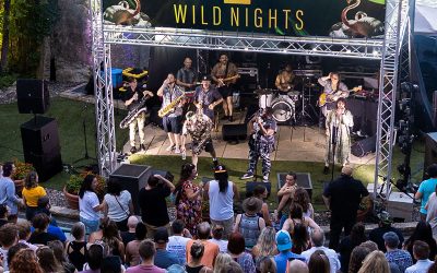 MN Zoo’s Wild Nights concert series returns with Cloud Cult, Cactus Blossoms