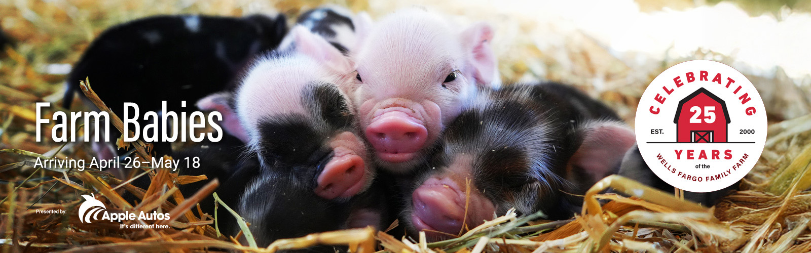 FB25_headerImage2025 (1)