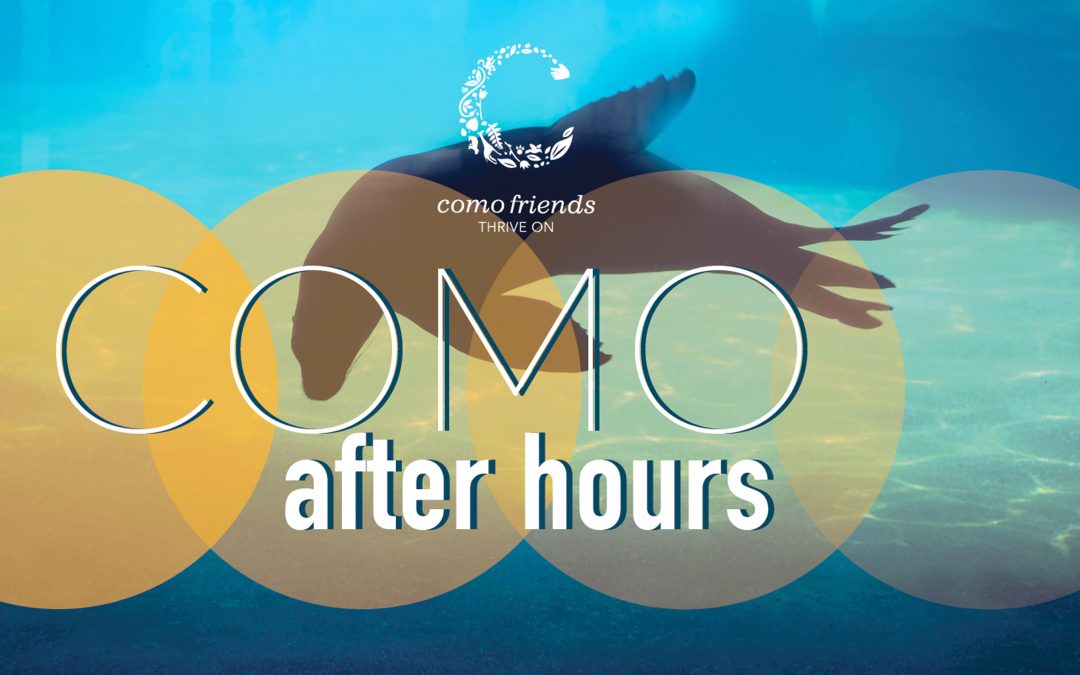 Como After Hours – St. Paul, MN