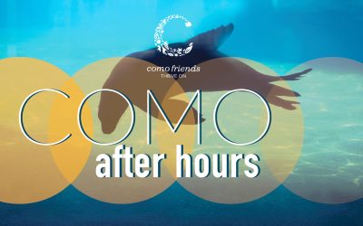 Como After Hours – St. Paul, MN