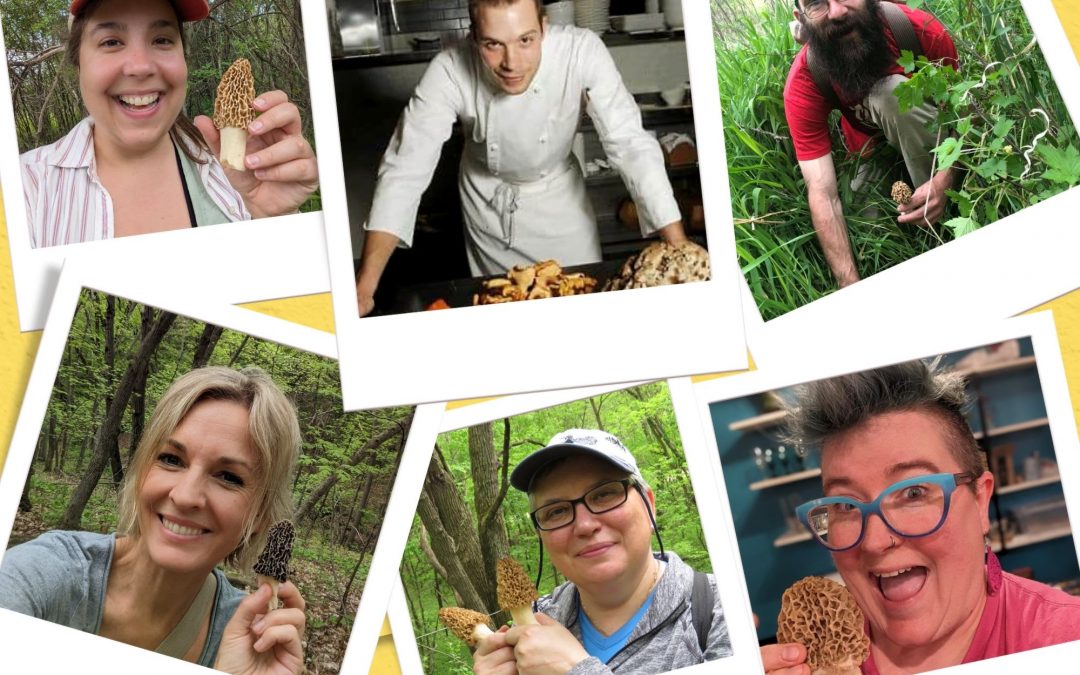 Morels & Memories Mushroom Hunt & Alzheimer’s Fundraiser – Watertown, MN