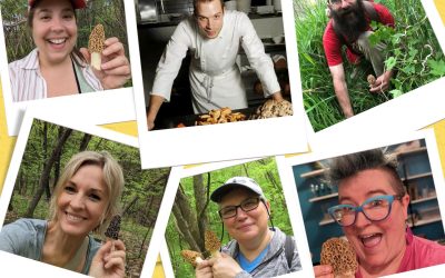 Morels & Memories Mushroom Hunt & Alzheimer’s Fundraiser – Watertown, MN