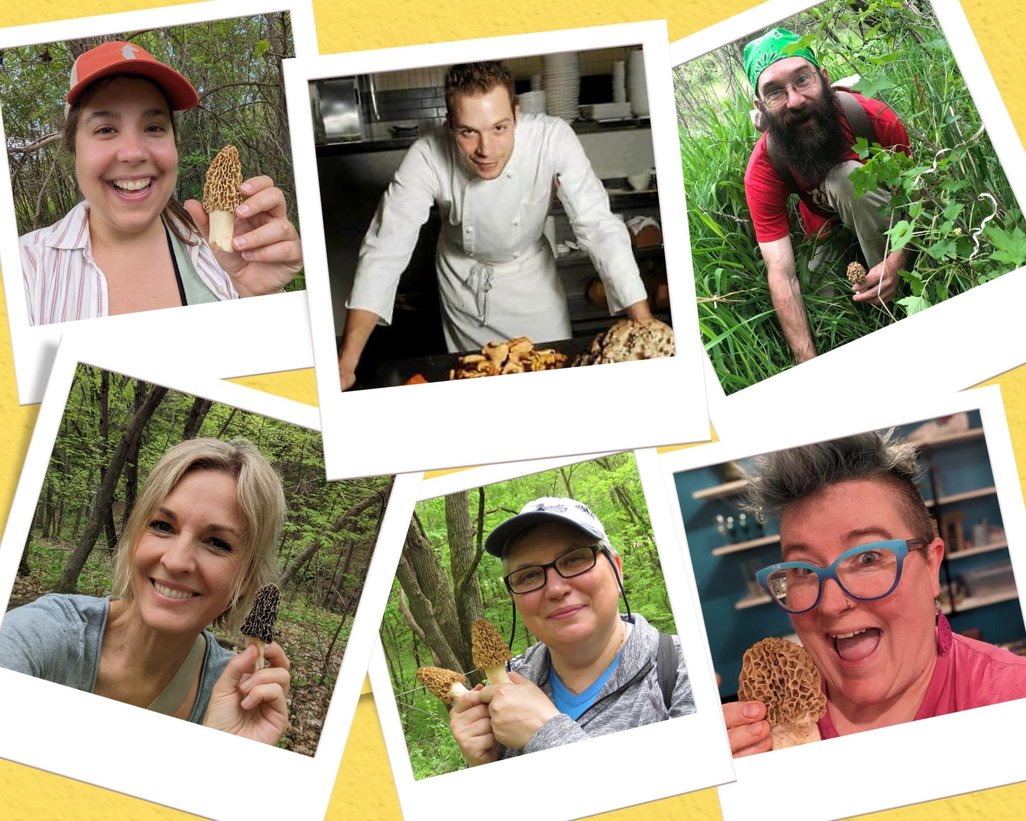 ipwrritlxx0ejj1nlquw