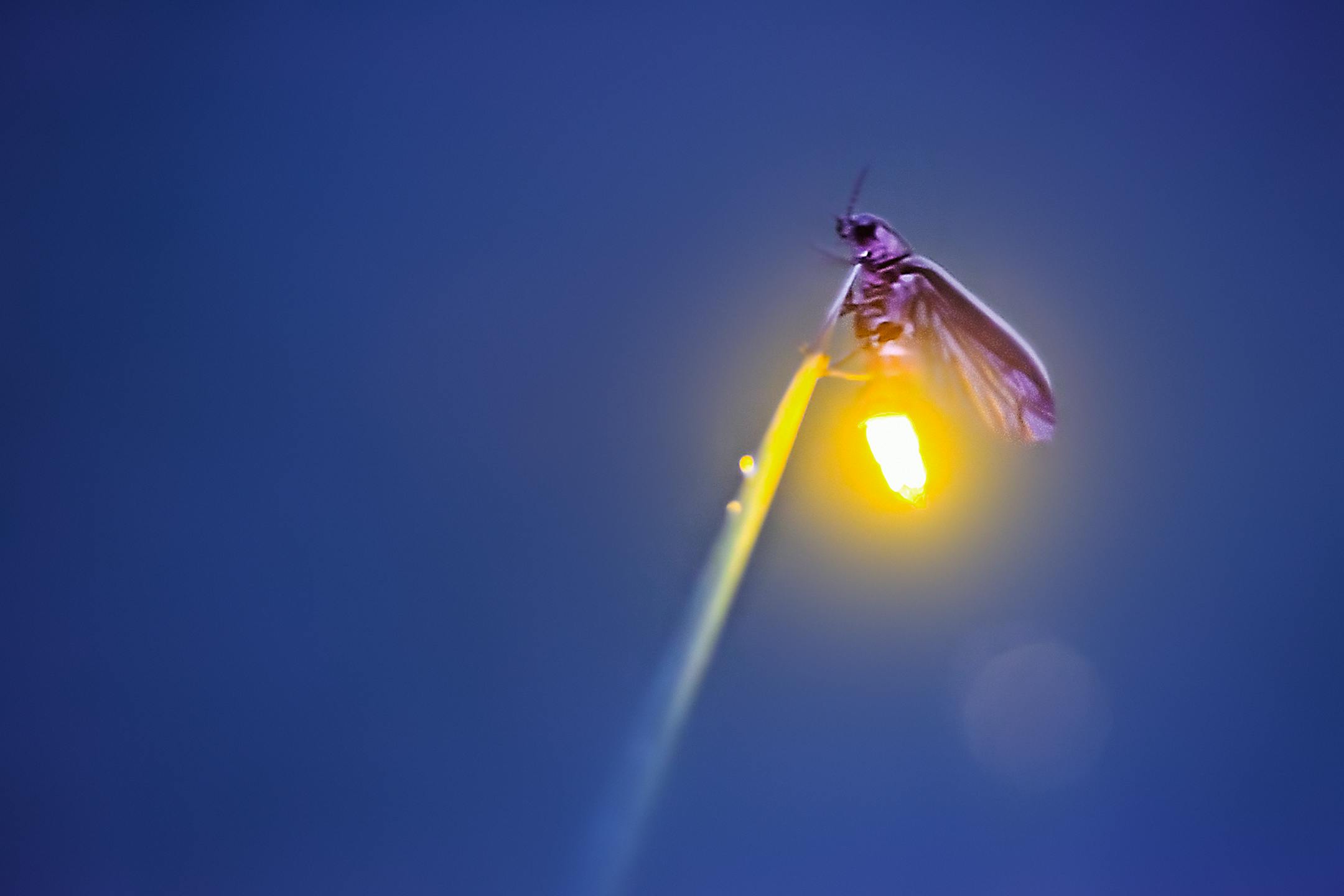 PV3MBBSNTYWN7IQRXNLTJQLDWQ