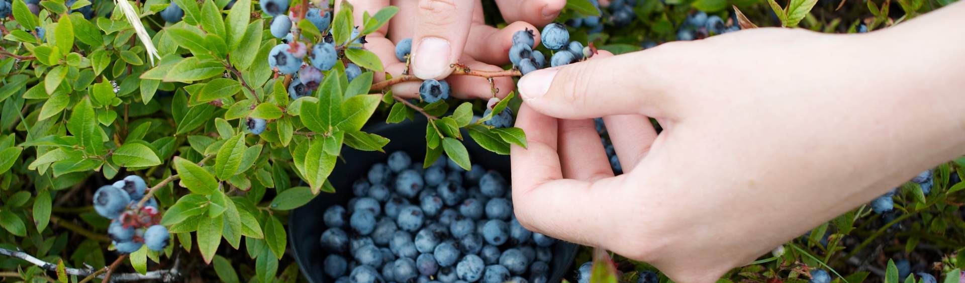 AdobeStock_9110627_2d2ec7ec-d5e7-43c2-8962-3ecb600e52bd