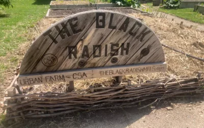 Rooted in art, the urban farming business Black Radish is growing new landscapes in Minneapolis