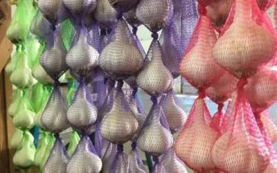 Minnesota Garlic Festival – Hutchinson, MN