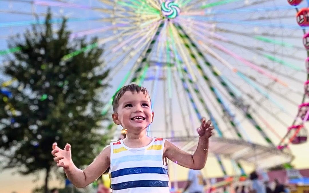 Minnesota State Fair: The “Great Minnesota Get-Together” – St. Paul, MN