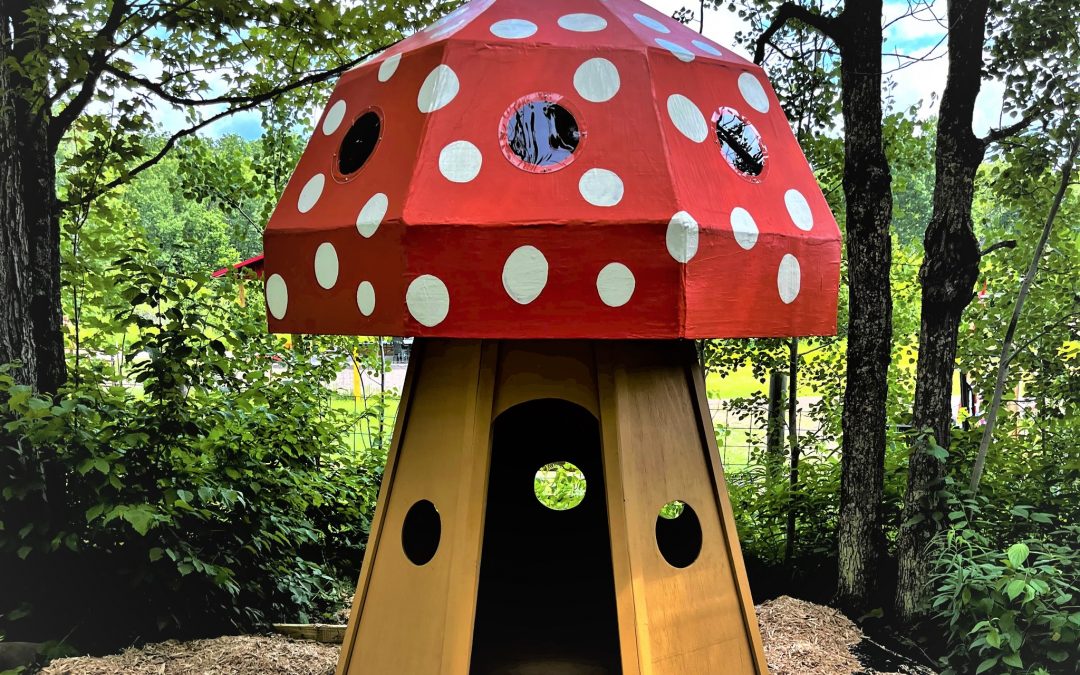 Whoopsa Daisy Farm: Whimsical farm in Duluth opens for the Fall Season – Duluth, MN