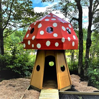 Whoopsa Daisy Farm: Whimsical farm in Duluth opens for the Fall Season – Duluth, MN