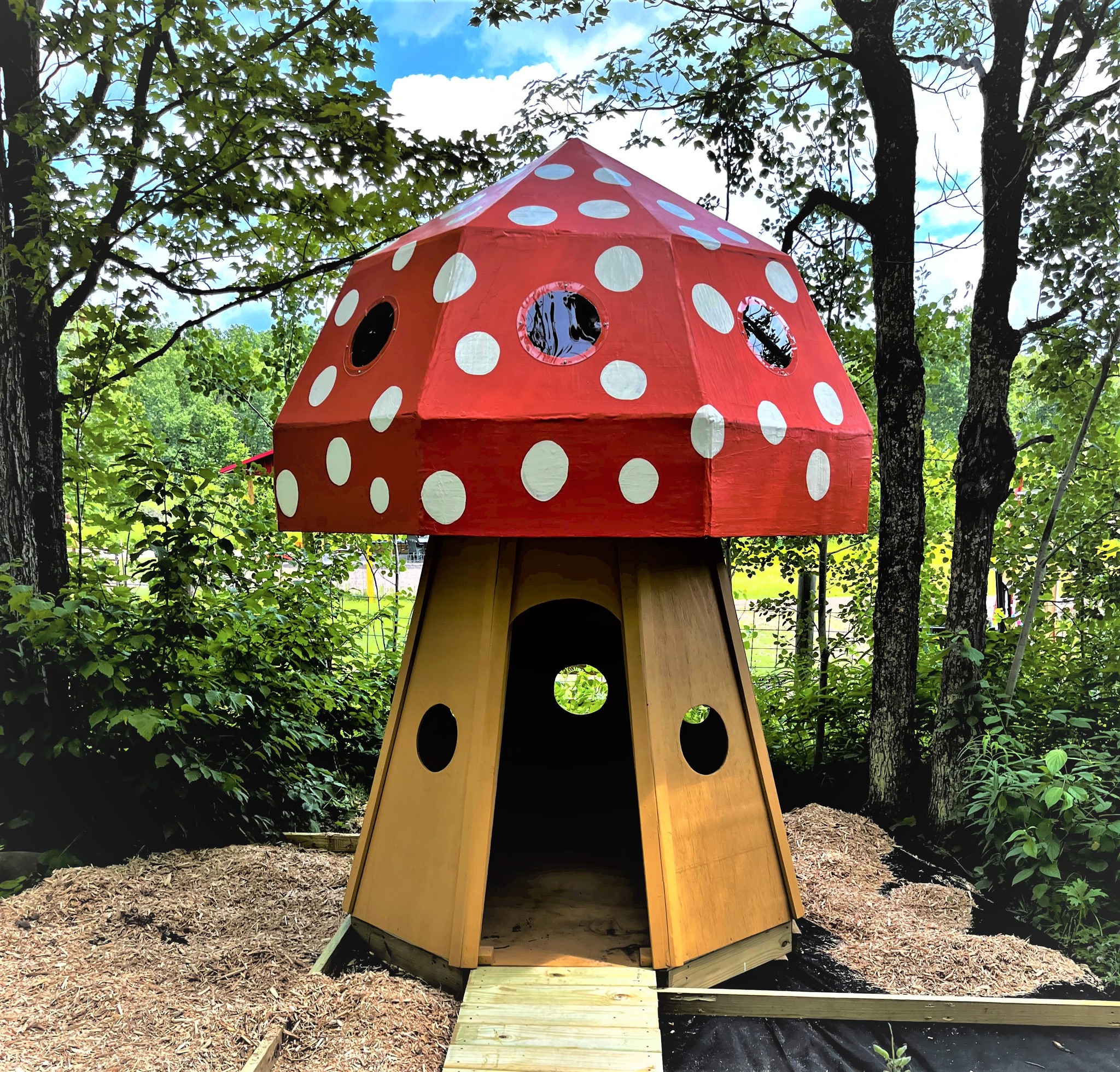 527762370_1239700814618853_8948232626803021410_n