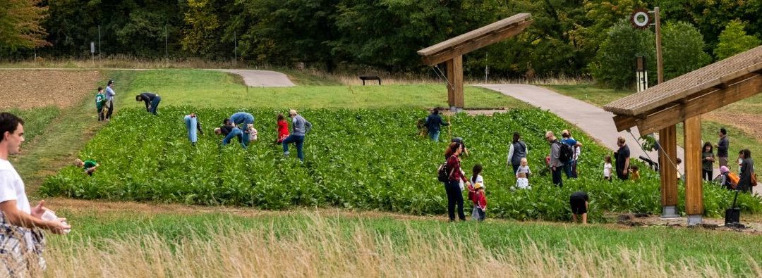 Field Fest at the Arb – Chaska, MN