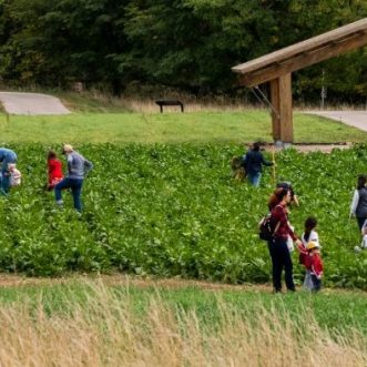 Field Fest at the Arb – Chaska, MN