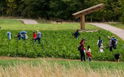 Field Fest at the Arb – Chaska, MN