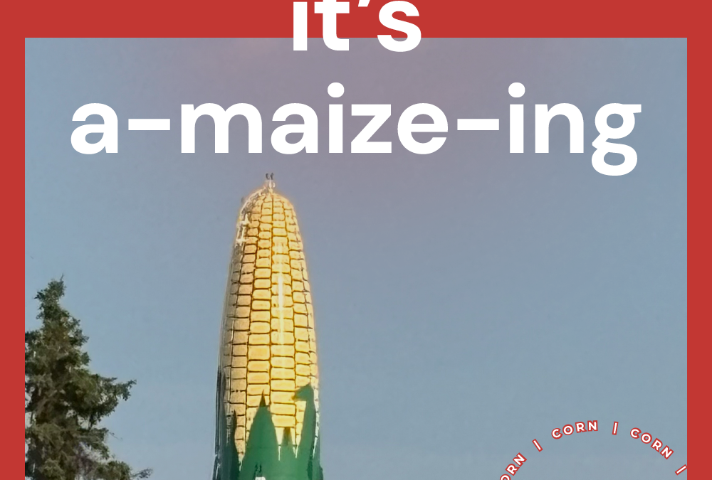 Minnesota State Fair and All Things Corn: It’s A-Maize-ing!